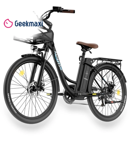 Lasting Electric Bike — Electric Self-Balancing Scooters, Fafrees