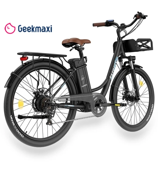 Lasting Electric Bike — Electric Self-Balancing Scooters, Fafrees