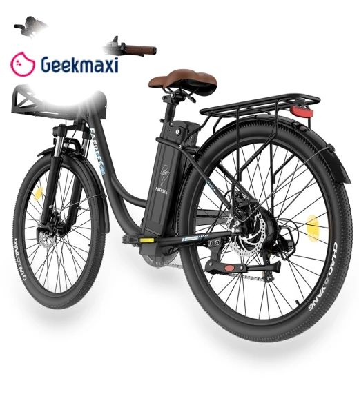 Lasting Electric Bike — Electric Self-Balancing Scooters, Fafrees