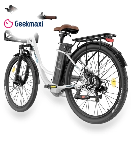 Lasting Electric Bike — E-Bikes, Fafrees