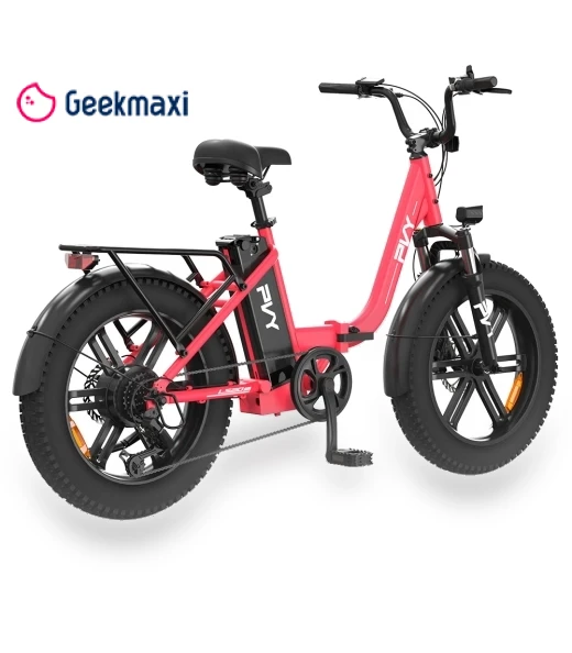 Electric Bike — Electric Self-Balancing Scooters, PVY