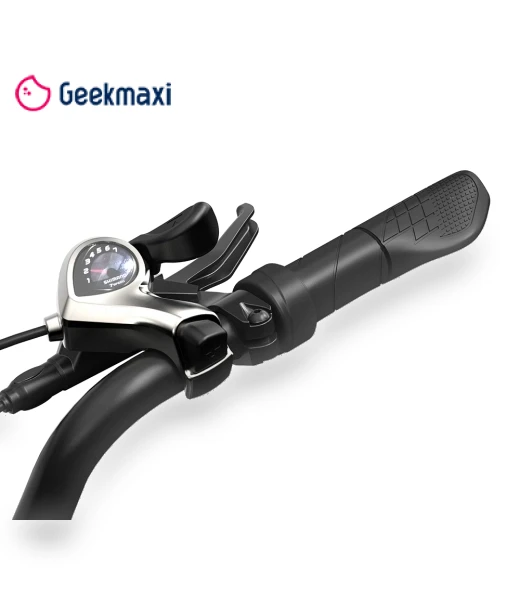 Electric Bike — Electric Self-Balancing Scooters, PVY