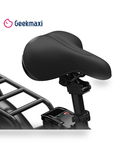 Electric Bike — Electric Self-Balancing Scooters, PVY