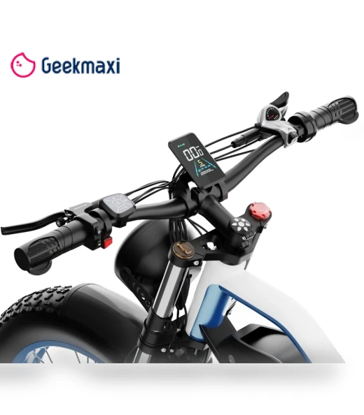 Electric Bike — Electric Self-Balancing Scooters, DUOTTS