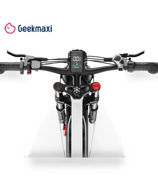 Electric Bike — Electric Self-Balancing Scooters, DUOTTS