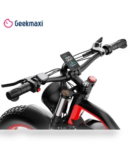 Electric Bike — Electric Self-Balancing Scooters, DUOTTS
