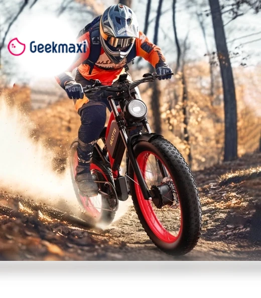 Electric Bike — Electric Self-Balancing Scooters, DUOTTS