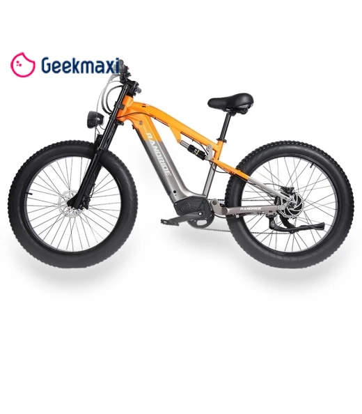 Electric Bike — Electric Self-Balancing Scooters, RANDRIDE