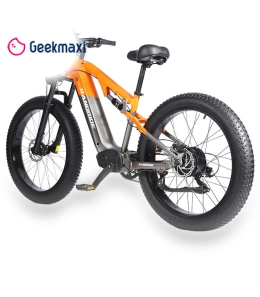 Electric Bike — Electric Self-Balancing Scooters, RANDRIDE