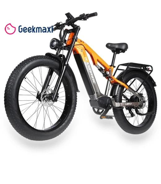 Electric Bike — Electric Self-Balancing Scooters, RANDRIDE