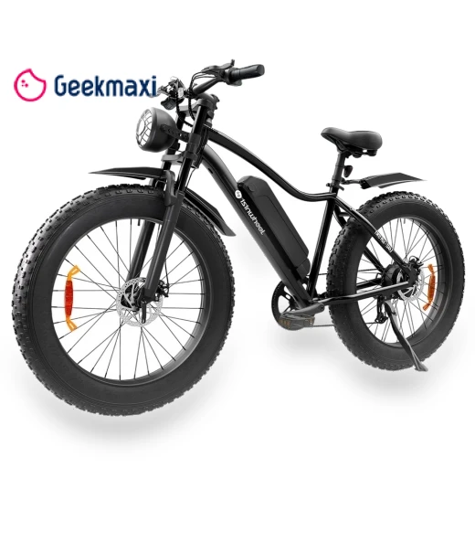 Electric Bike — Electric Self-Balancing Scooters, isinwheel