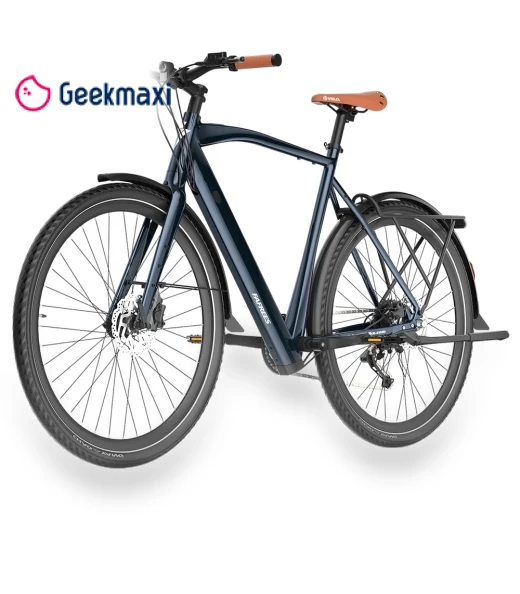 Electric Bike — Electric Self-Balancing Scooters, Fafrees