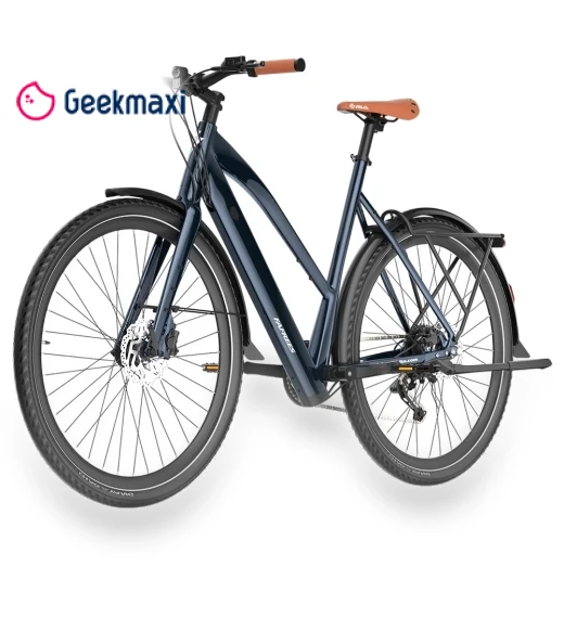 Electric Bike — Electric Self-Balancing Scooters, Fafrees