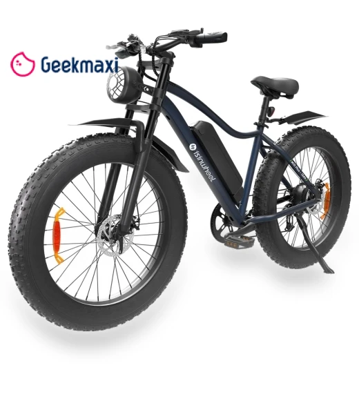 Electric Bike — E-Bikes, isinwheel