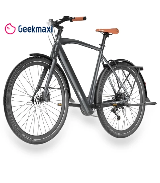 Electric Bike — Electric Self-Balancing Scooters, Fafrees