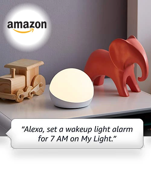 Multicolor smart lamp — Lighting Solutions, Echo