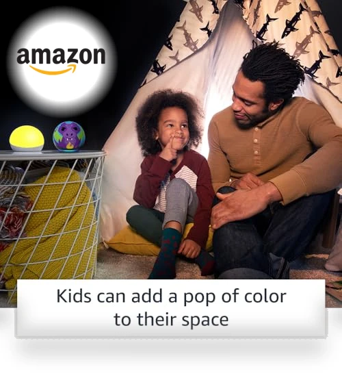 Multicolor smart lamp — Lighting Solutions, Echo