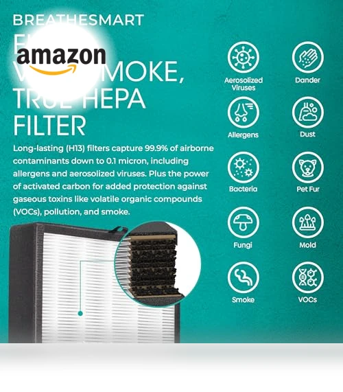Air Purifier with HEPA VOC/Smoke Filter — Activated Carbon Air Purifiers, Alen