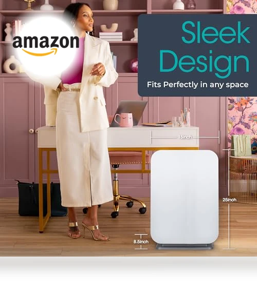 Air Purifier with HEPA VOC/Smoke Filter — Activated Carbon Air Purifiers, Alen