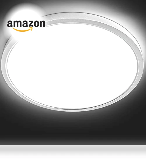 Flush Mount Ceiling Light — Close To Ceiling, TALOYA