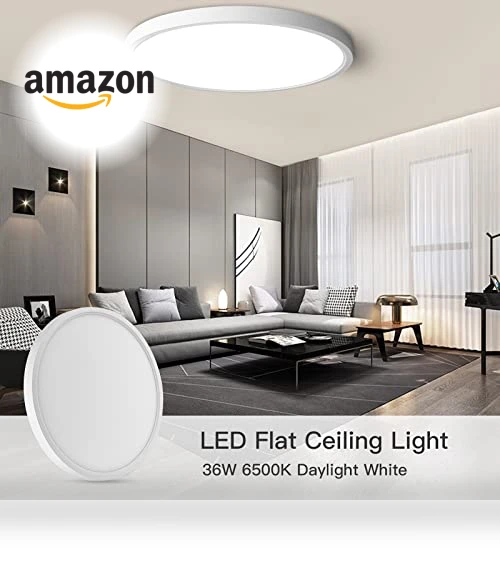 Flush Mount Ceiling Light — Close To Ceiling, TALOYA