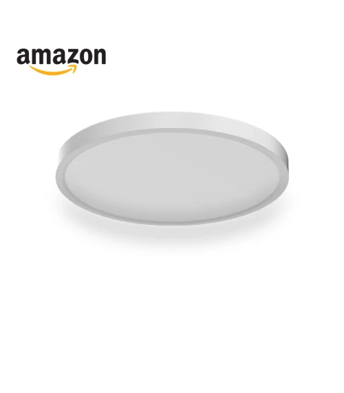 Flush Mount Ceiling Light — Close To Ceiling, TALOYA