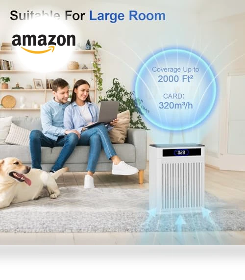 HEPA Air Purifier for Large Rooms — Activated Carbon Air Purifiers, AJR