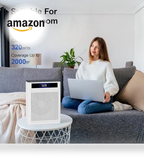 HEPA Air Purifier for Large Rooms — Activated Carbon Air Purifiers, AJR