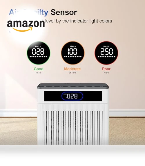 HEPA Air Purifier for Large Rooms — Activated Carbon Air Purifiers, AJR