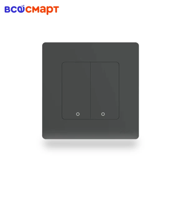 Smart Switch Double — Smart Home Modules, MOES