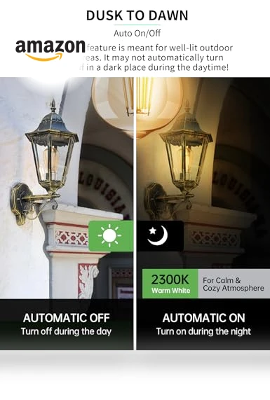 Vintage Amber Glass LED Filament Bulb — Street Lighting, Qualilux