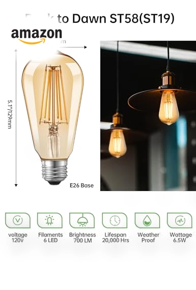 Vintage Amber Glass LED Filament Bulb — Street Lighting, Qualilux