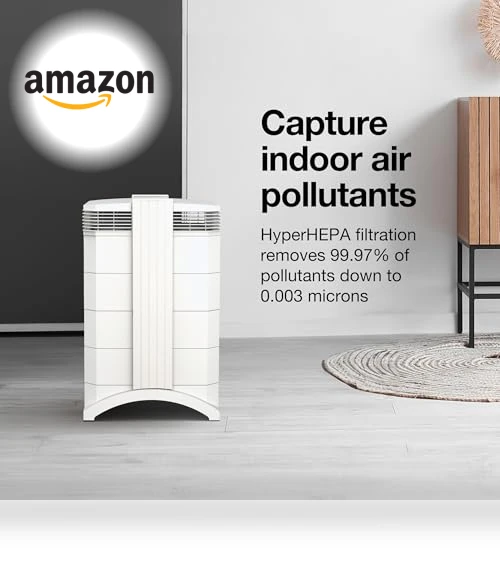 Compact HyperHEPA Air Purifier — Air Ionizers, IQAir