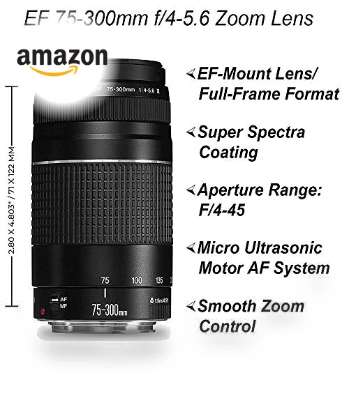 DSLR Camera with Dual Lens and Accessory Bundle — Camera & Photo, Canon