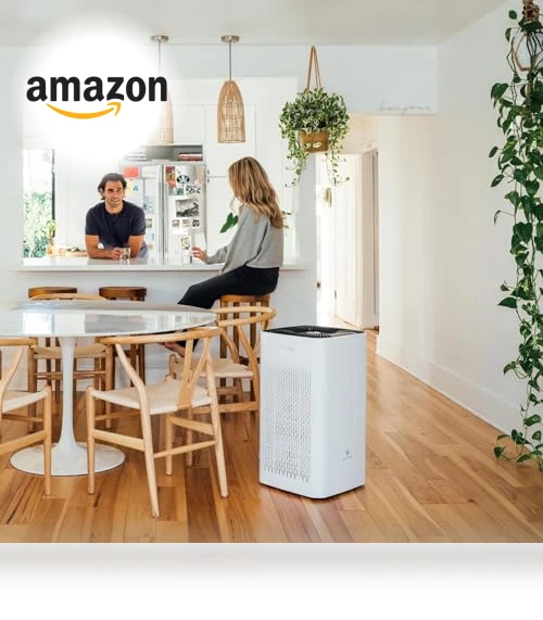 Air Purifier with True HEPA H13 Filter — HEPA Air Purifiers, Medify Air