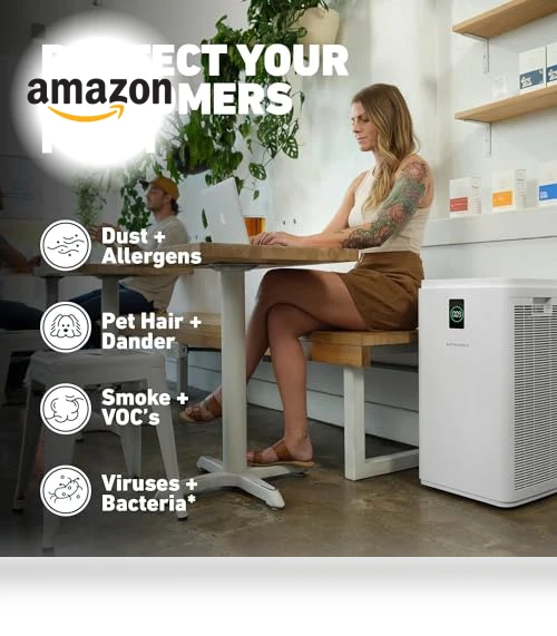 True HEPA Air Purifier — Activated Carbon Air Purifiers, HATHASPACE