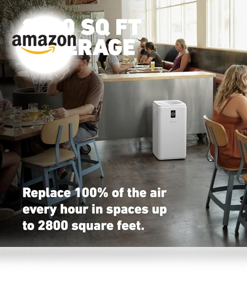 True HEPA Air Purifier — Activated Carbon Air Purifiers, HATHASPACE