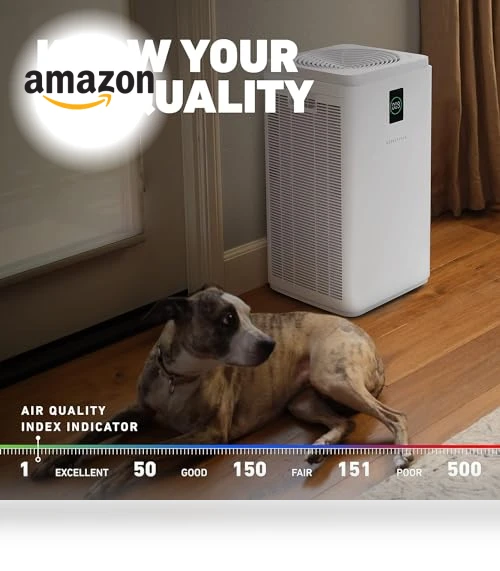 True HEPA Air Purifier — Activated Carbon Air Purifiers, HATHASPACE