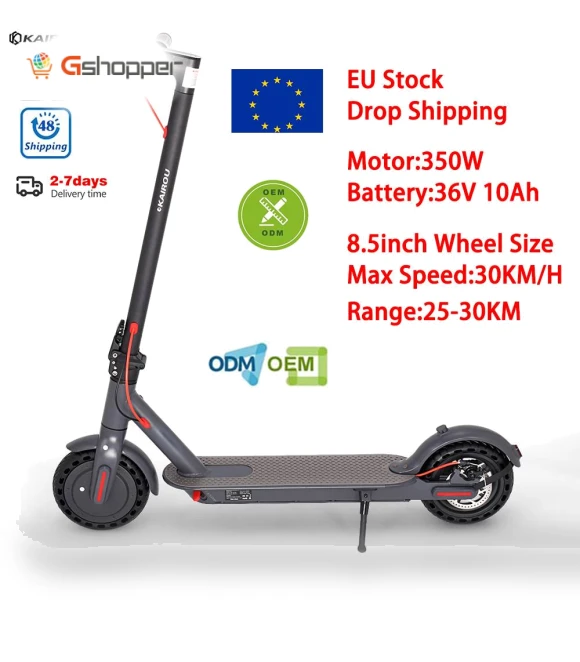 Adult Electric Scooter — Electric Self-Balancing Scooters