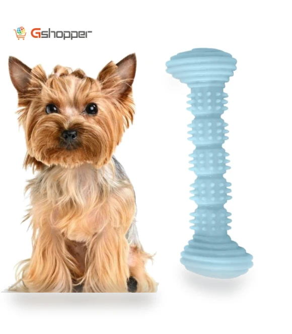 Teething Toy Chewing Dog Toothbrush Toy — Chew Toys