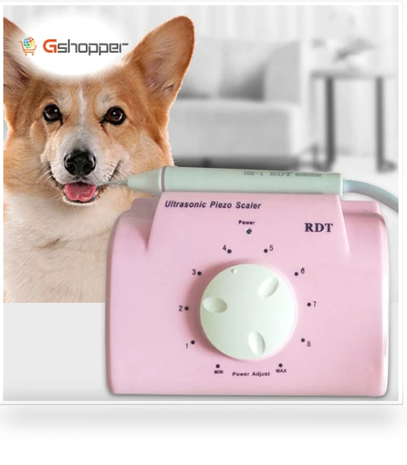 Ultrasonic Cleaning Machine for Pet Dogs — Ultrasonic Cleaners