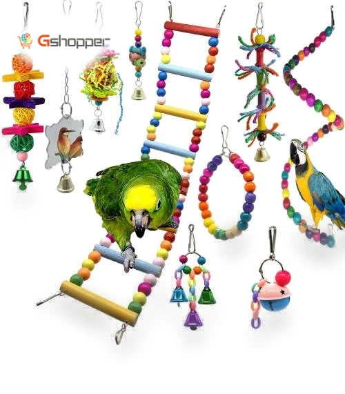 10 in 1 Parrot Toy Set — Toys