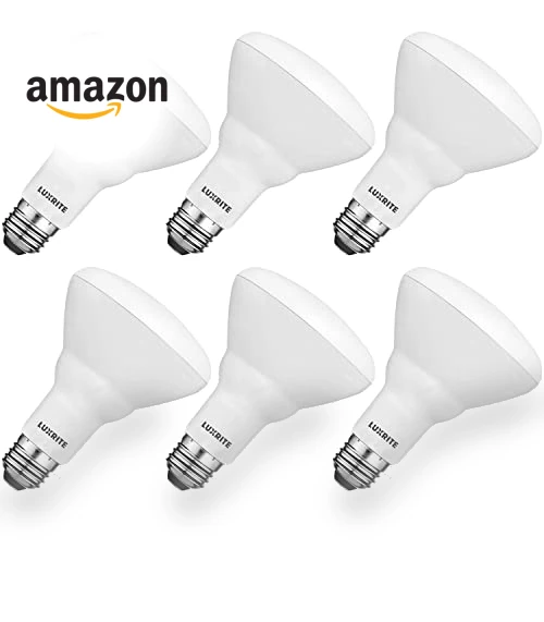 6-Pack BR30 LED Bulb — Lighting Solutions, LUXRITE