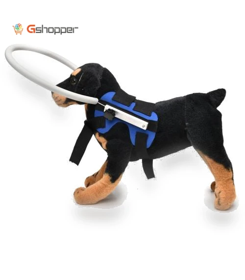 Anti-Collision Ring for Dogs — Sunglasses