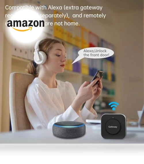 Keyless Entry Smart Lock with Handle — Smart Home Security, SMONET