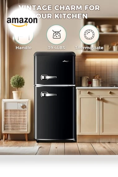 Mini Fridge with Freezer — Mini Fridges, Anypro