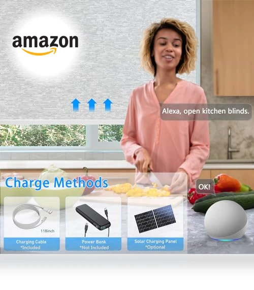 Motorized Blinds with Remote — Smart Home Modules, COOLWINDS