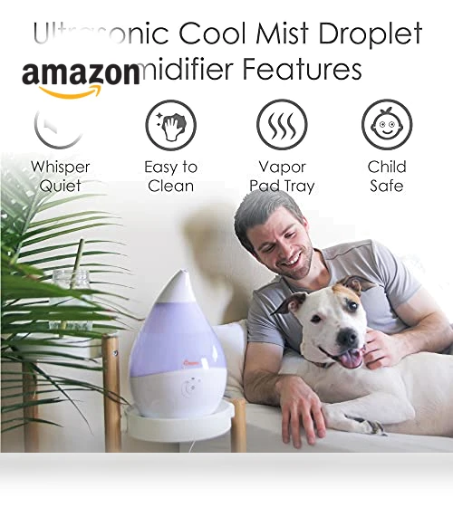 Ultrasonic Small Air Humidifier — Air Moisture Control, Crane