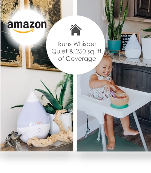 Ultrasonic Small Air Humidifier — Air Moisture Control, Crane