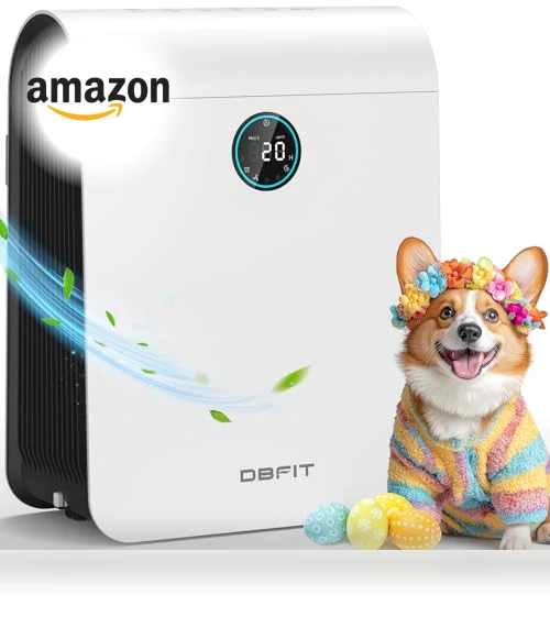 Large Room Air Purifier with PM 2.5 Display — Activated Carbon Air Purifiers, DBFIT